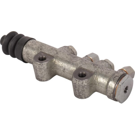 Pompe GOLDONI 02030058