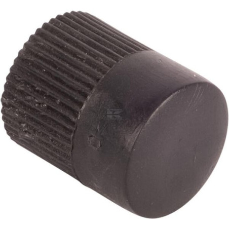 Bouton poussoir RAICO 017166220N