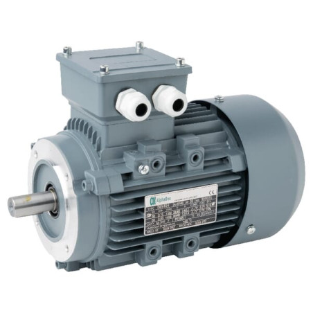 Moteur électrique UNBRANDED 015602