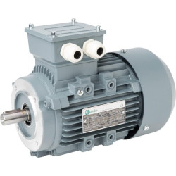 Moteur électrique UNBRANDED 015603