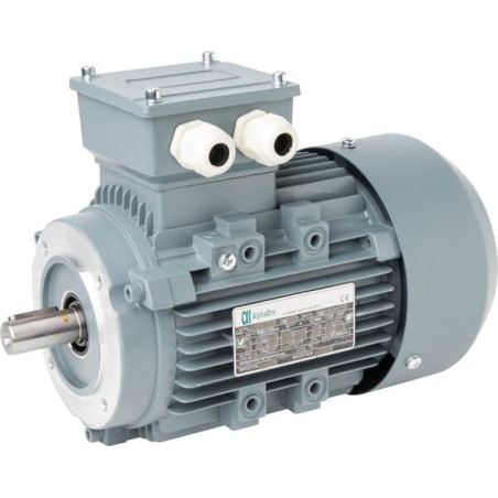 Moteur électrique UNBRANDED 015603