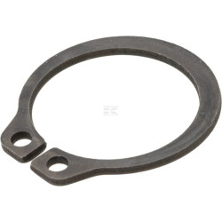 Anneau AGRIA 01320