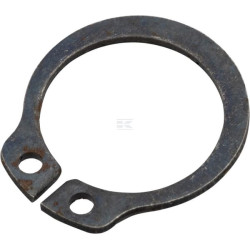 Anneau AGRIA 01325