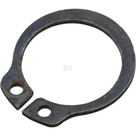 Anneau AGRIA 01325