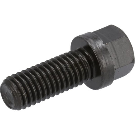 Boulon DEUTZ 03470246