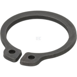 Anneau AGRIA 01349