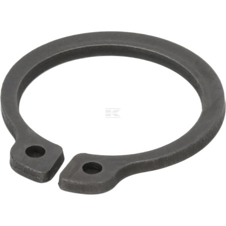 Anneau AGRIA 01349
