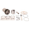 Assemblage SDF 03360065A