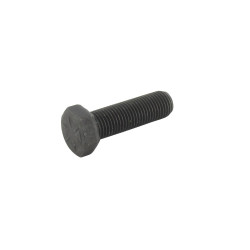Vis de lame 32 mm AYP 850857