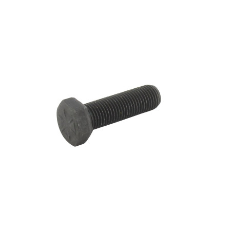 Vis de lame 32 mm AYP 850857