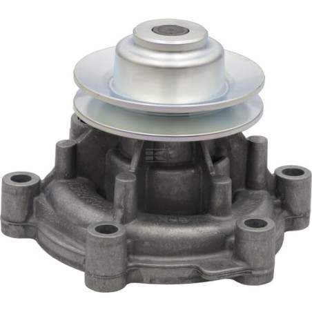 Pompe DEUTZ 04300281