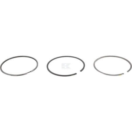 Segments DEUTZ 04287513