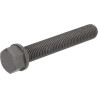 Boulon DEUTZ 04200468