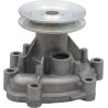 Pompe DEUTZ 04300291