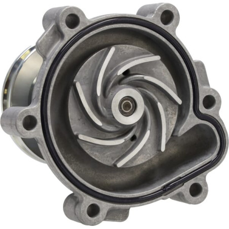 Pompe DEUTZ 04300291