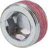Bouchon fileté DEUTZ 04271453