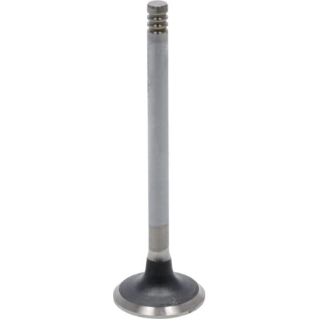 Soupape d'échappement DEUTZ 04284043