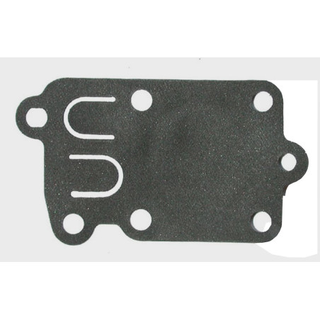 Membrane BRIGGS ET STRATTON 272538S
