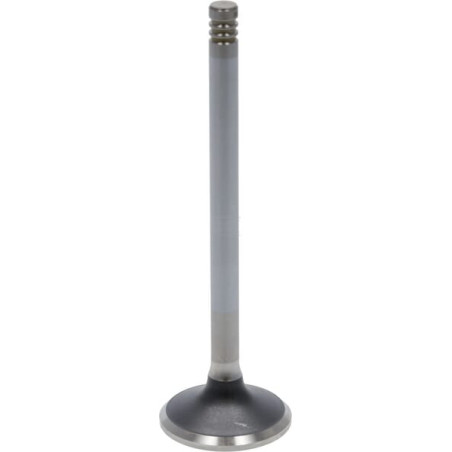 Soupape d'échappement DEUTZ 04283381