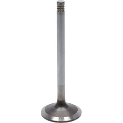 Soupape d'admission DEUTZ 04283380