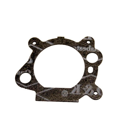 Joint carburateur Briggs et Stratton 272653