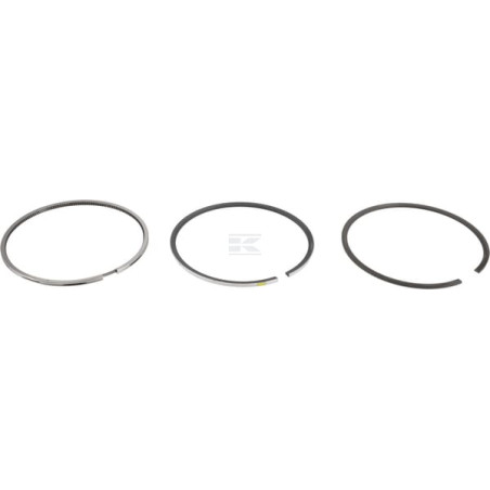 Segments DEUTZ 04501338