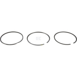 Segments DEUTZ 04501339