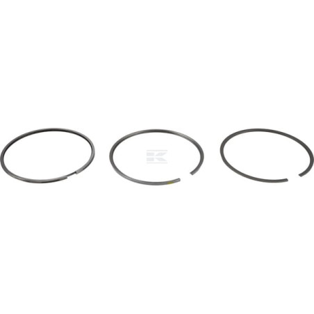 Segments DEUTZ 04501339
