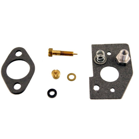 Kit membrane + joint de carburateur Briggs et stratton