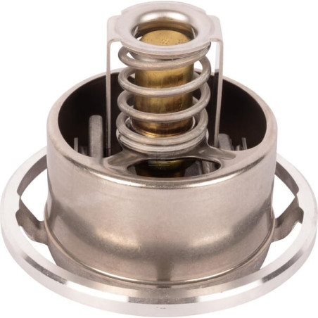 Thermostat SDF 04911831