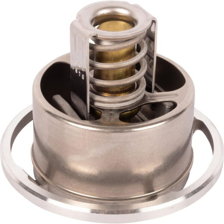 Thermostat SDF 04911831