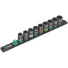 Rail WERA 05005490001