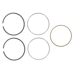 Jeu de segments BRIGGS ET STRATTON 795690
