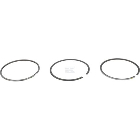 Segments DEUTZ 04900839