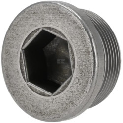 Bouchon fileté ZF 0636302018