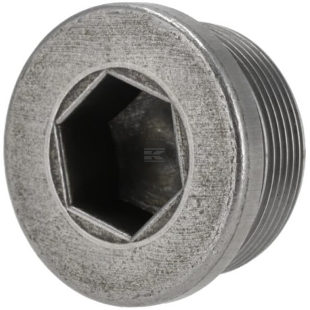Bouchon fileté ZF 0636302018