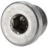 Bouchon fileté ZF 0636302014