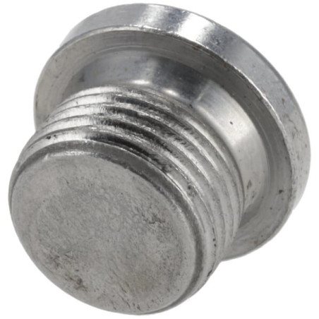 Bouchon fileté ZF 0636302014