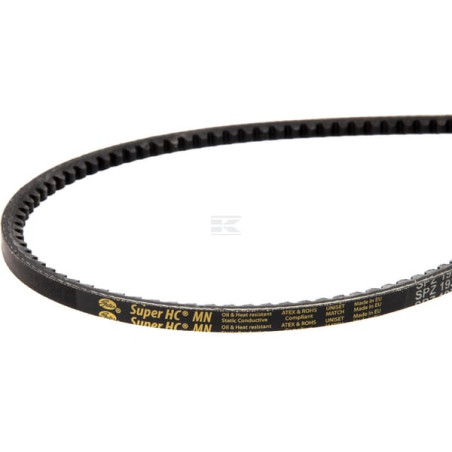 Courroie BAUER 0627339