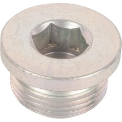 Bouchon SPICER DANA 065050N
