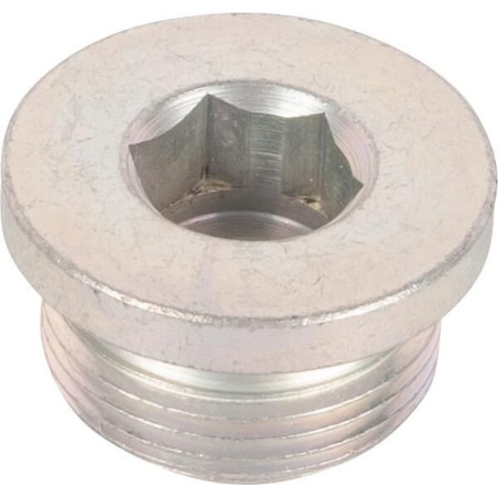 Bouchon SPICER DANA 065050N