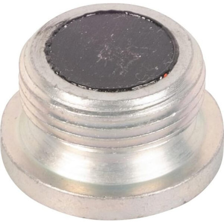 Bouchon SPICER DANA 065050N