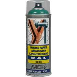 Raccord spray turquoise MOTIP 07013