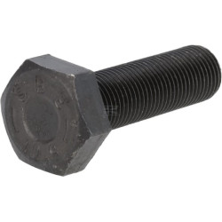 Boulon DEUTZ 06209713