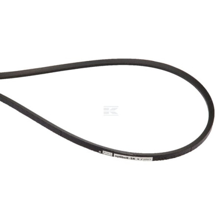 Courroie BAUER 0627354