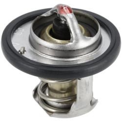 Thermostat WEIDEMANN 1000264896