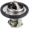 Thermostat WEIDEMANN 1000264896