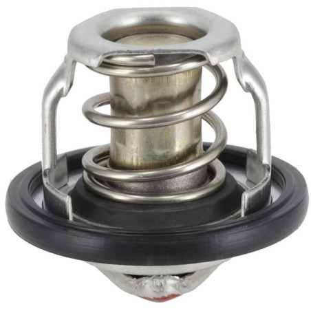 Thermostat WEIDEMANN 1000264896