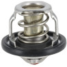 Thermostat WEIDEMANN 1000264896