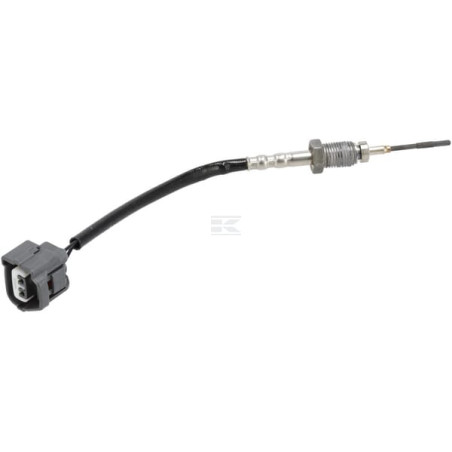 Capteur WEIDEMANN 1000308381